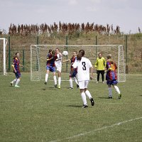 IMG 0533